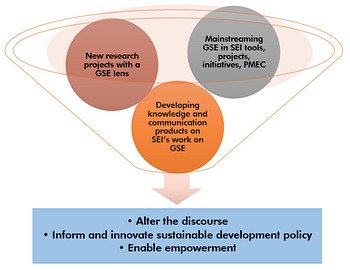 SEI GSE Programme graphic